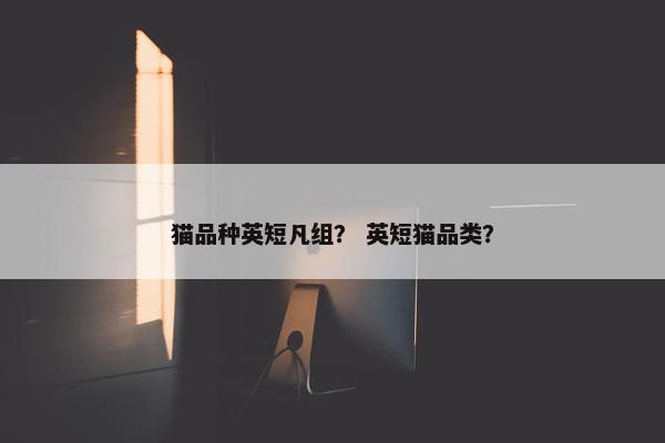 猫品种英短凡组？ 英短猫品类？