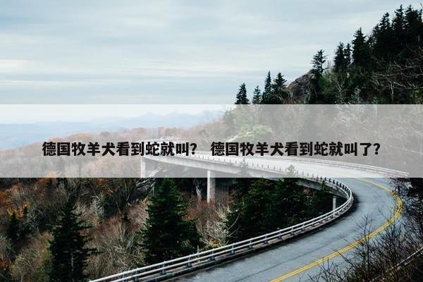 德国牧羊犬看到蛇就叫？ 德国牧羊犬看到蛇就叫了？