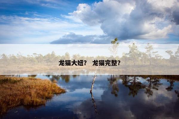 一首