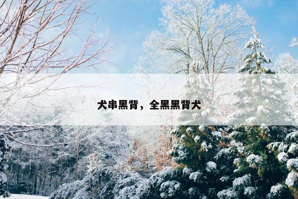 犬串黑背，全黑黑背犬