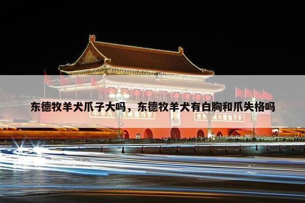东德牧羊犬爪子大吗，东德牧羊犬有白胸和爪失格吗