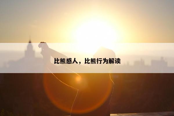 比熊感人，比熊行为解读