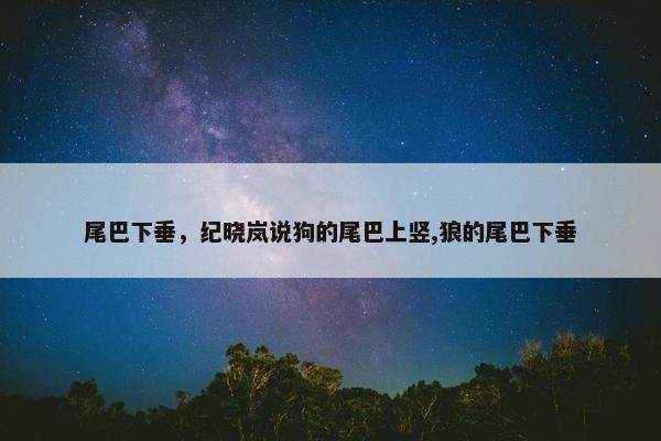 尾巴下垂,纪晓岚说狗的尾巴上竖,狼的尾巴下垂