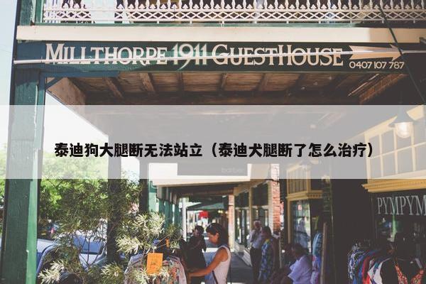 泰迪狗大腿断无法站立（泰迪犬腿断了怎么治疗）
