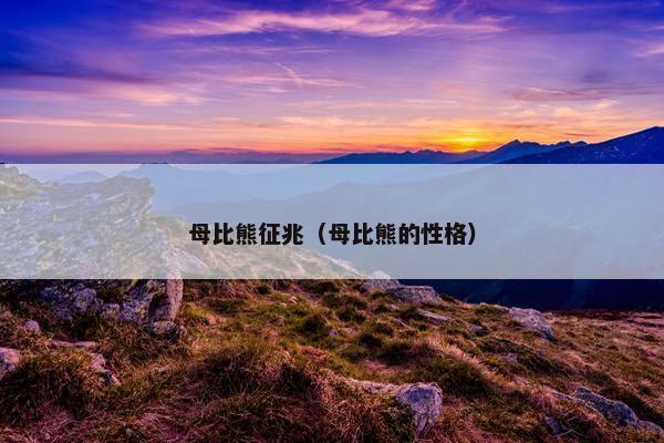 母比熊征兆（母比熊的性格）