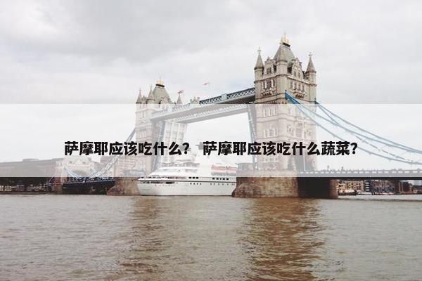 萨摩耶应该吃什么? 萨摩耶应该吃什么蔬菜?
