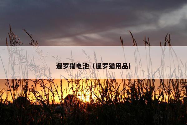 住宅区