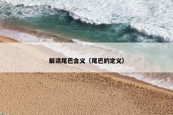 解读尾巴含义(尾巴的定义)
