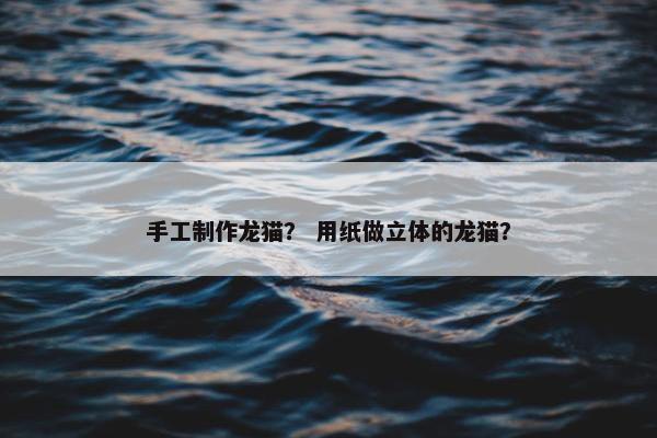 手工制作龙猫？ 用纸做立体的龙猫？