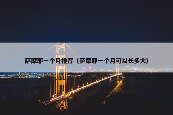 萨摩耶一个月推荐（萨摩耶一个月可以长多大）