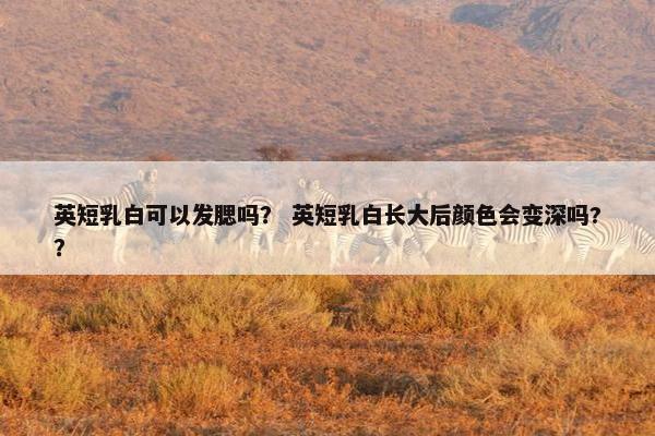 英短乳白可以发腮吗？ 英短乳白长大后颜色会变深吗?？
