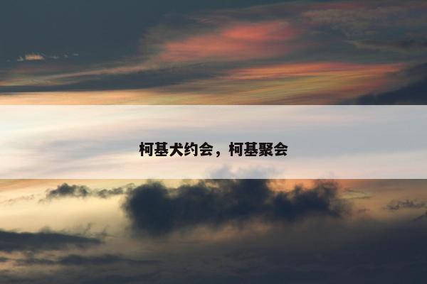 柯基犬约会，柯基聚会