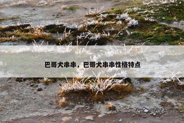 巴哥犬串串，巴哥犬串串性格特点
