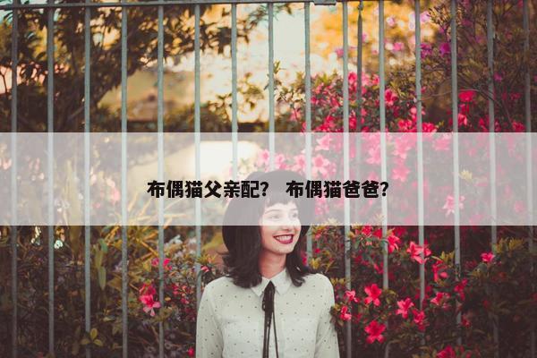 布偶猫父亲配？ 布偶猫爸爸？
