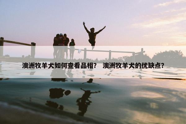 澳洲牧羊犬如何查看品相？ 澳洲牧羊犬的优缺点？