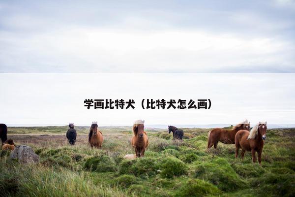 学画比特犬（比特犬怎么画）
