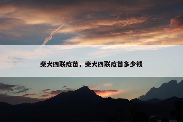 柴犬四联疫苗，柴犬四联疫苗多少钱