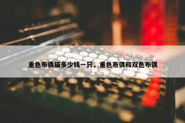 重色布偶猫多少钱一只,重色布偶和双色布偶