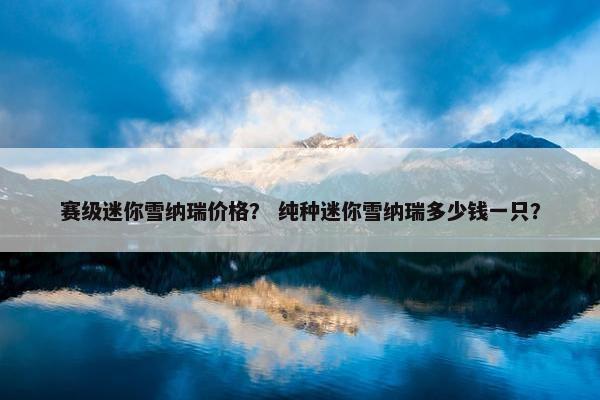 赛级迷你雪纳瑞价格? 纯种迷你雪纳瑞多少钱一只?