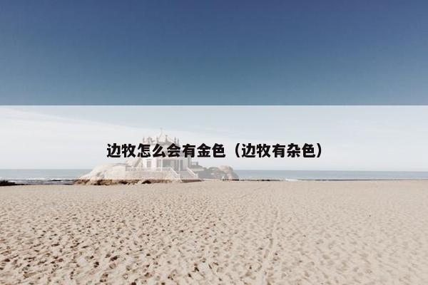 边牧怎么会有金色（边牧有杂色）