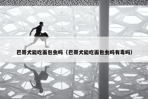 巴哥犬能吃面包虫吗（巴哥犬能吃面包虫吗有毒吗）