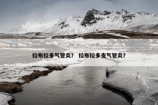 拉布拉多气管炎？ 拉布拉多支气管炎？