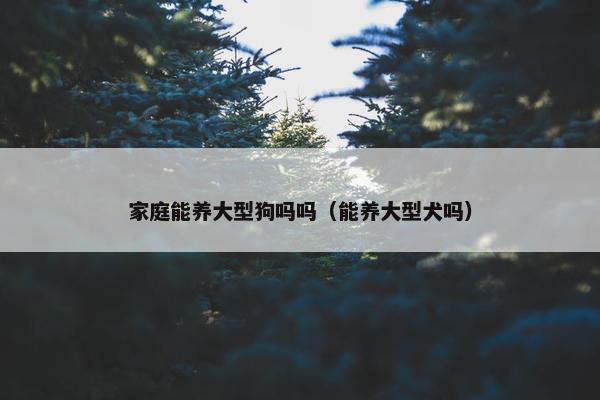 家庭能养大型狗吗吗(能养大型犬吗)