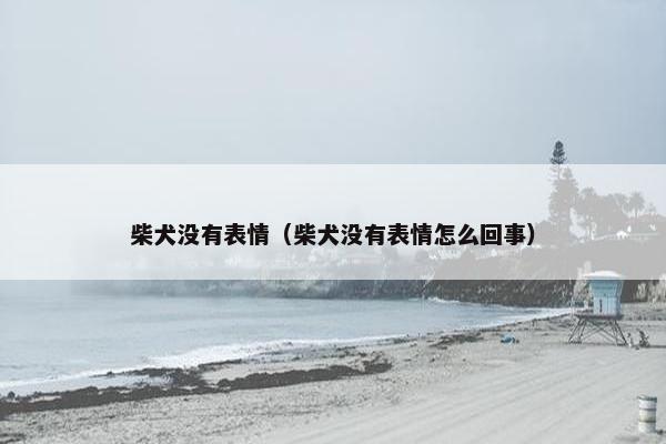 柴犬没有表情（柴犬没有表情怎么回事）