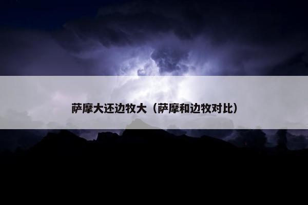 萨摩大还边牧大（萨摩和边牧对比）