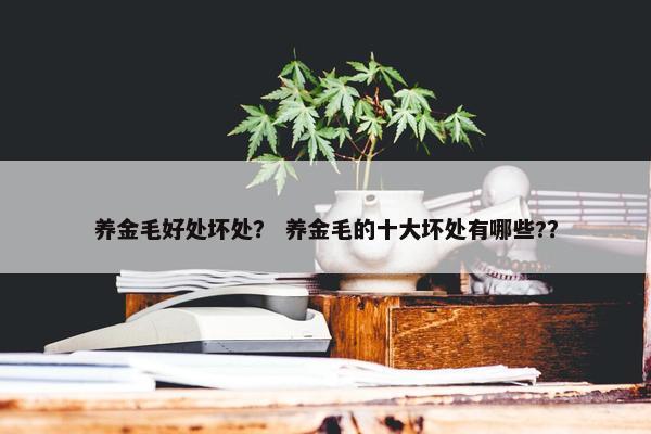 养金毛好处坏处？ 养金毛的十大坏处有哪些?？