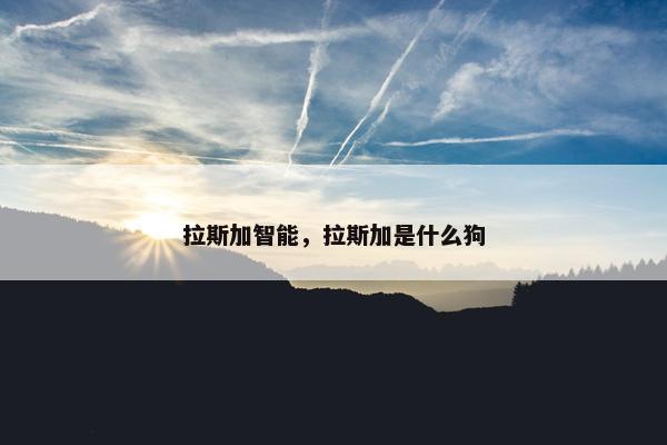 拉斯加智能，拉斯加是什么狗