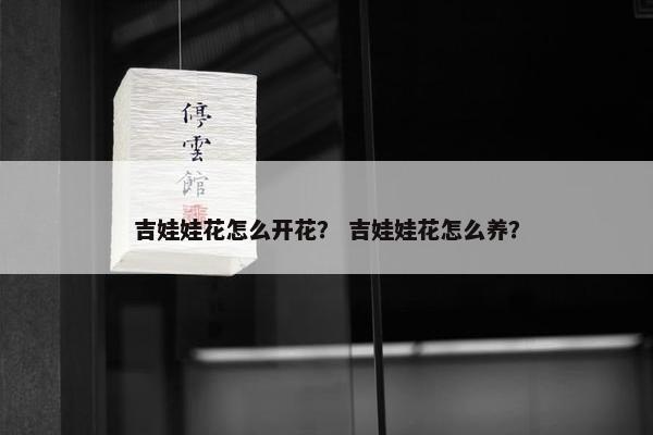 吉娃娃花怎么开花？ 吉娃娃花怎么养？