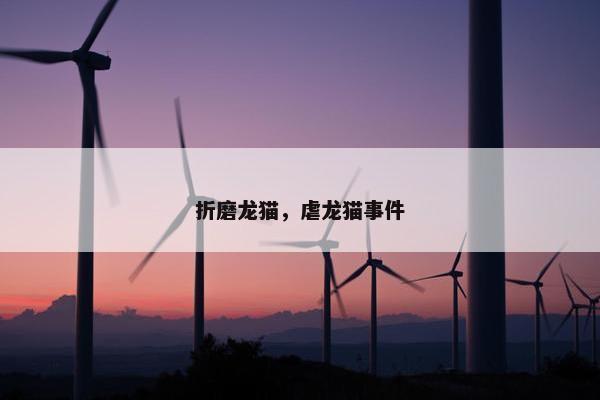 折磨龙猫，虐龙猫事件