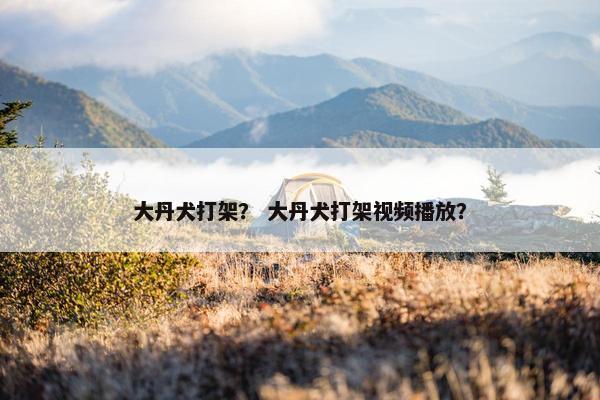 大丹犬打架？ 大丹犬打架视频播放？