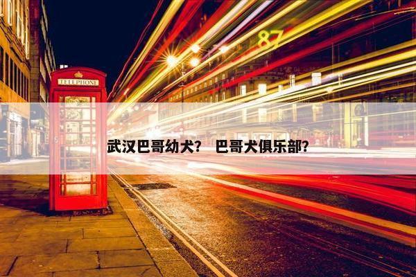武汉巴哥幼犬？ 巴哥犬俱乐部？