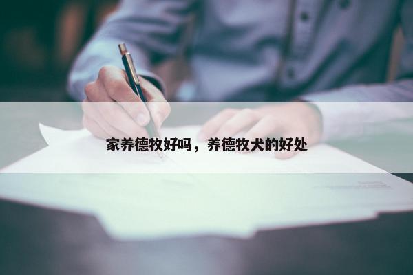 家养德牧好吗，养德牧犬的好处