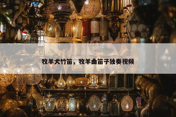 牧羊犬竹笛，牧羊曲笛子独奏视频