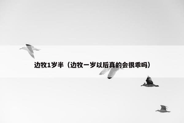 边牧1岁半（边牧一岁以后真的会很乖吗）
