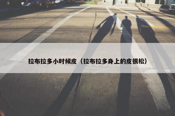 拉布拉多小时候皮（拉布拉多身上的皮很松）