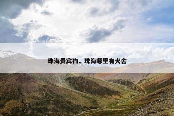 珠海贵宾狗，珠海哪里有犬舍
