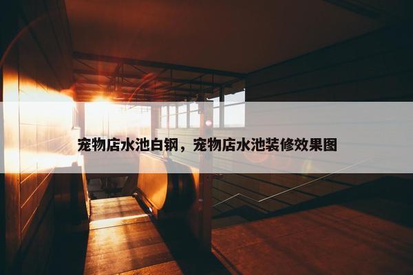 宠物店水池白钢，宠物店水池装修效果图