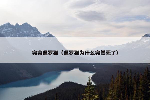 突突暹罗猫（暹罗猫为什么突然死了）