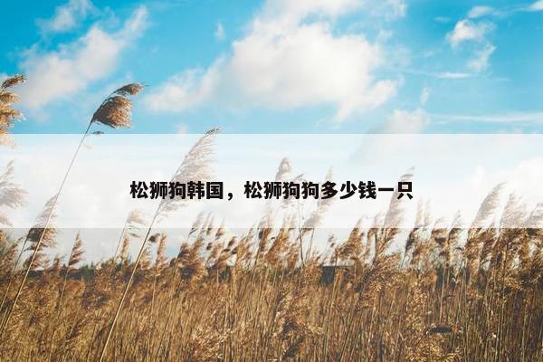 松狮狗韩国，松狮狗狗多少钱一只