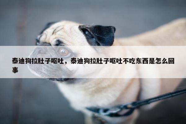 泰迪狗拉肚子呕吐，泰迪狗拉肚子呕吐不吃东西是怎么回事