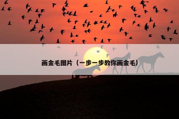 画金毛图片（一步一步教你画金毛）