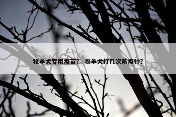 牧羊犬专用疫苗? 牧羊犬打几次防疫针?