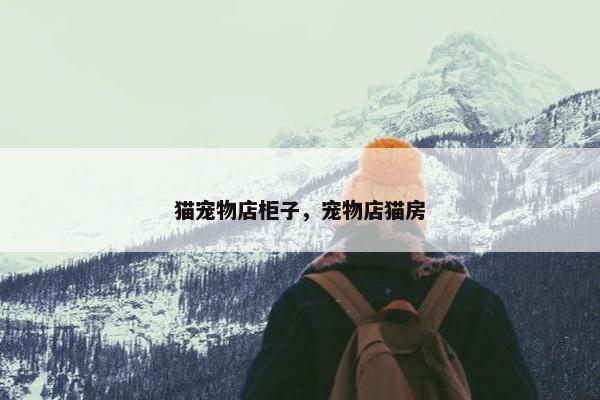 猫宠物店柜子，宠物店猫房