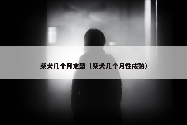 柴犬几个月定型（柴犬几个月性成熟）