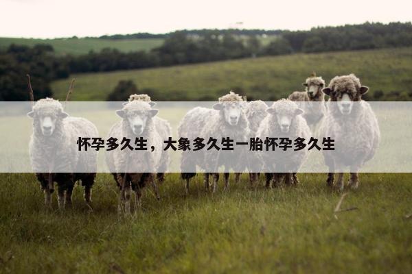 妊娠