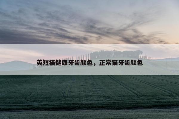 英短猫健康牙齿颜色，正常猫牙齿颜色